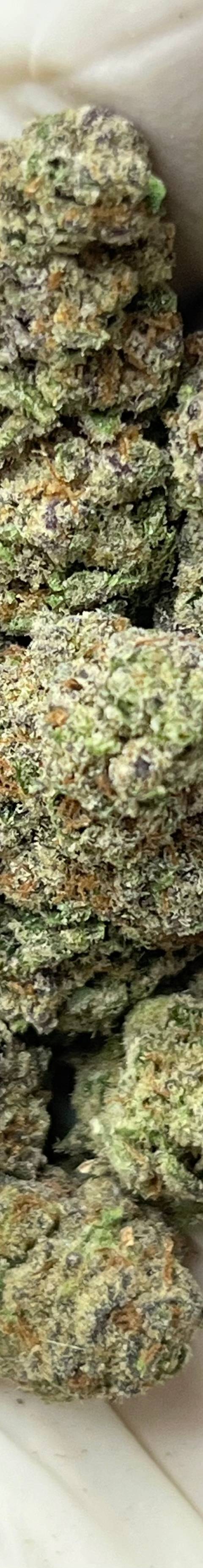 Glitter Bomb (Bigs)