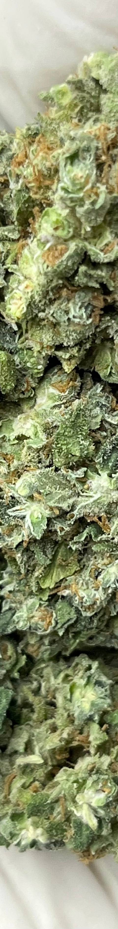 Blue Dream (Bigs)