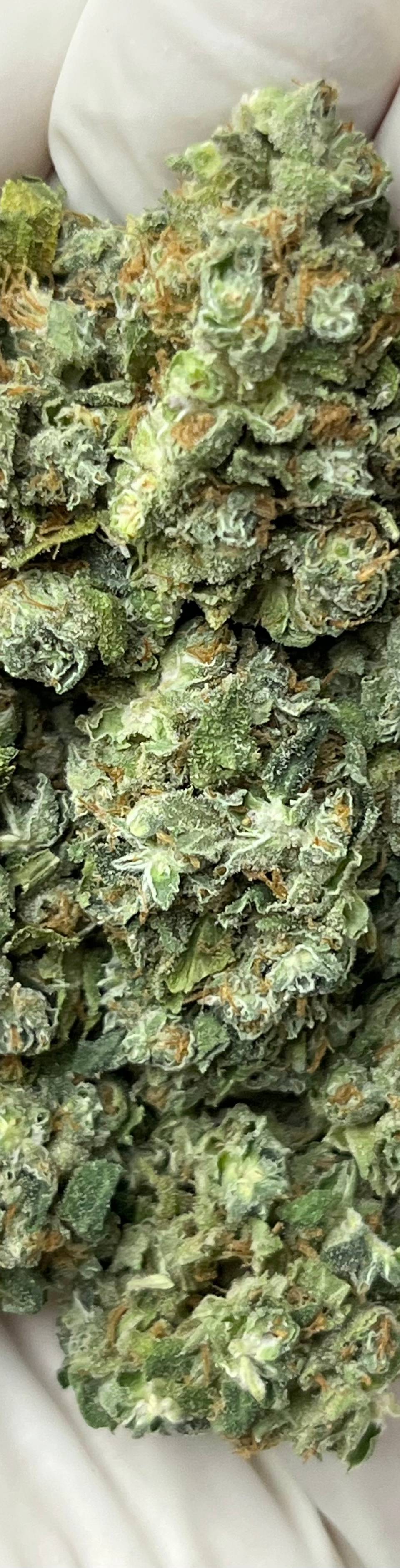 Blue Dream (Bigs), photo 1 of 2