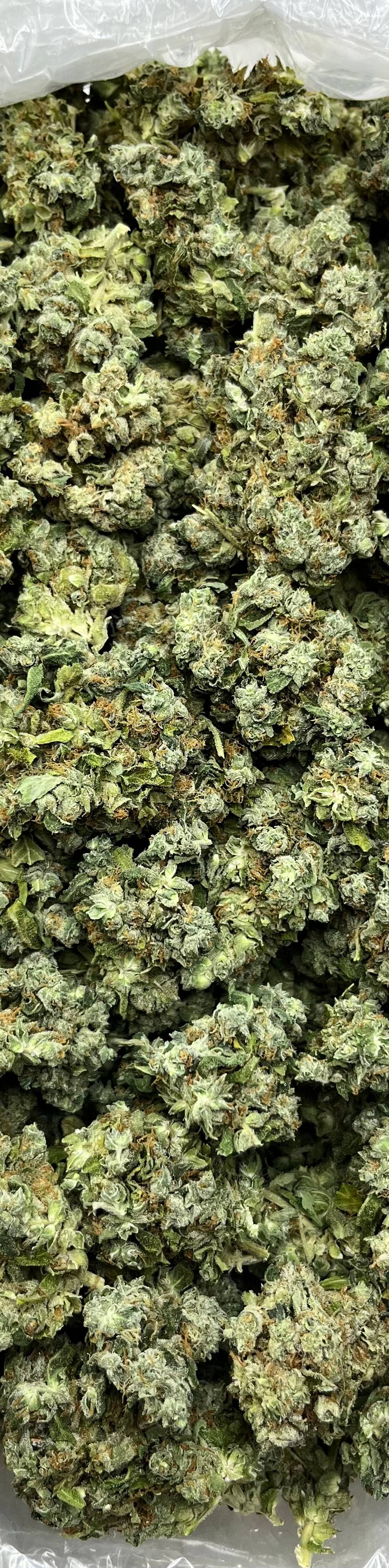 Blue Dream (Bigs), photo 2 of 2