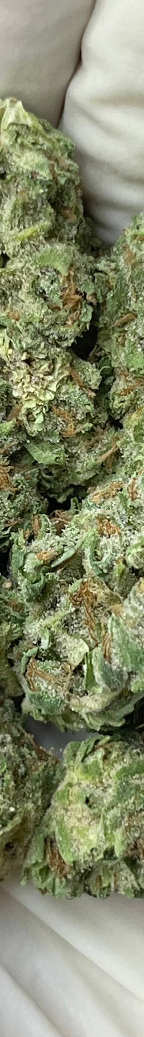 Green Berry (Bigs)