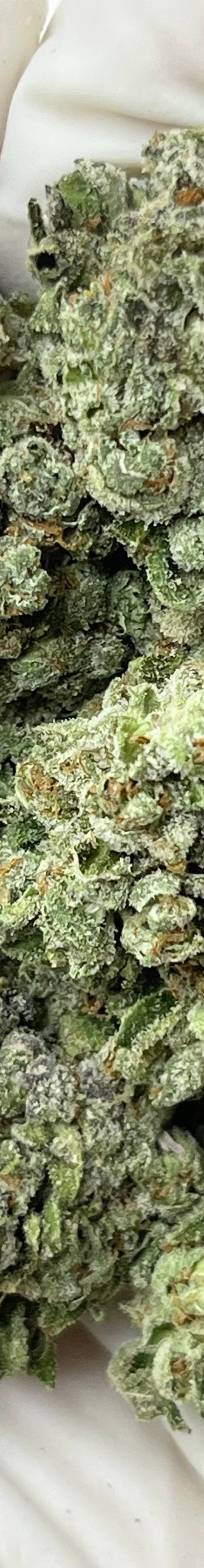 Lemon Haze (Bigs)