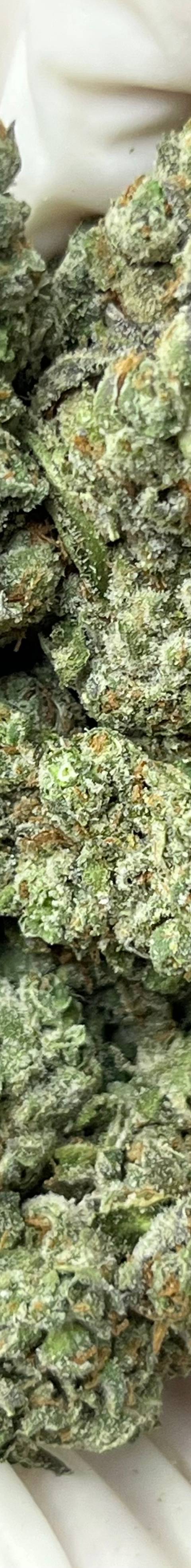 Platinum Lemon Gusherz (Bigs)