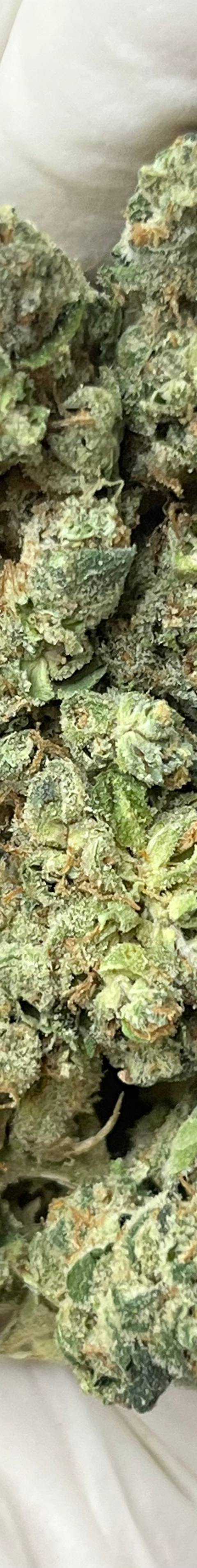 Strawberry Cough (Bigs)
