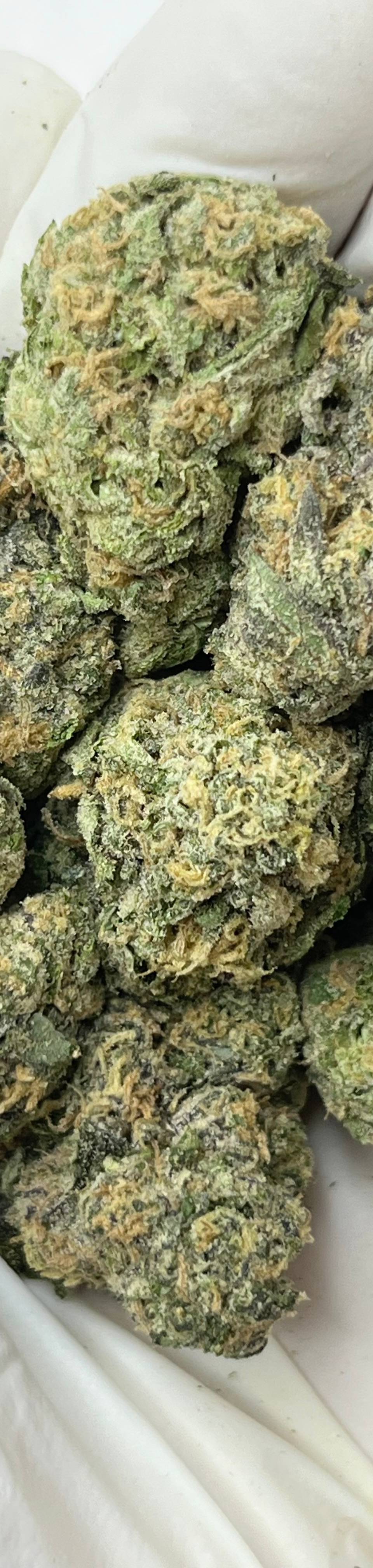 Pheno Hunt (Bigs), photo 1 of 2