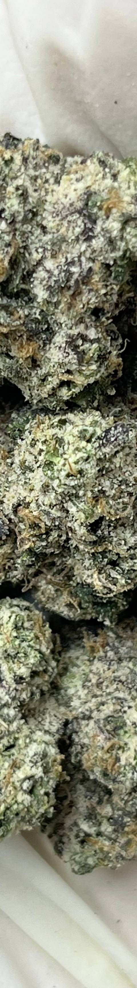Lung Candy (Bigs)