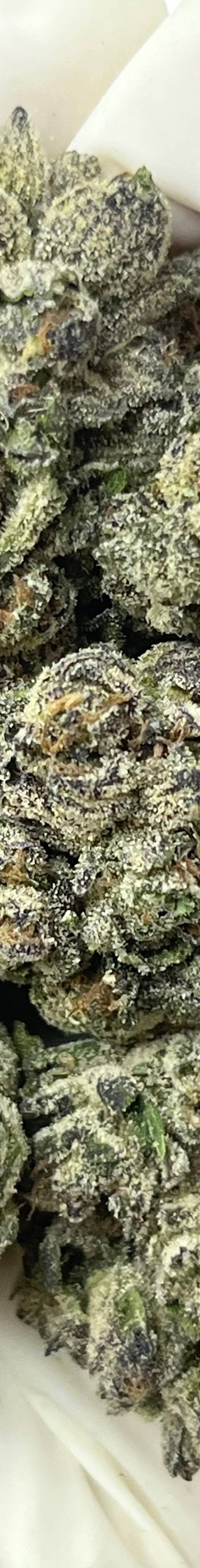 Oreoz (Bigs)