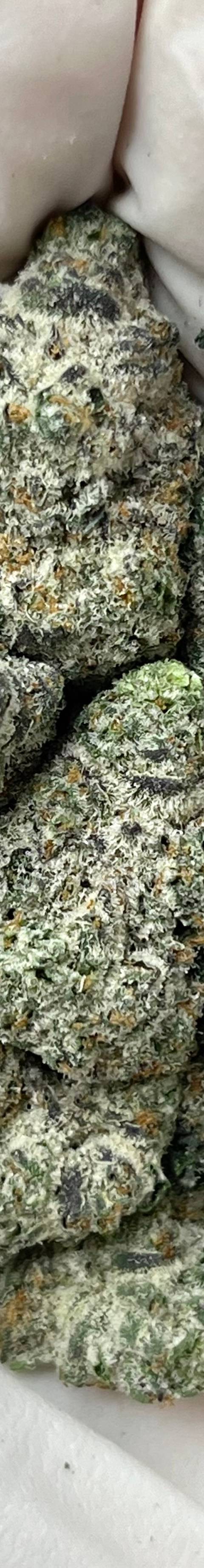Oreoz (Bigs)