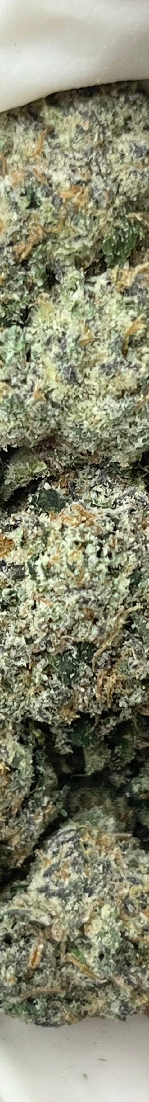 Gelato Runtz (Bigs)