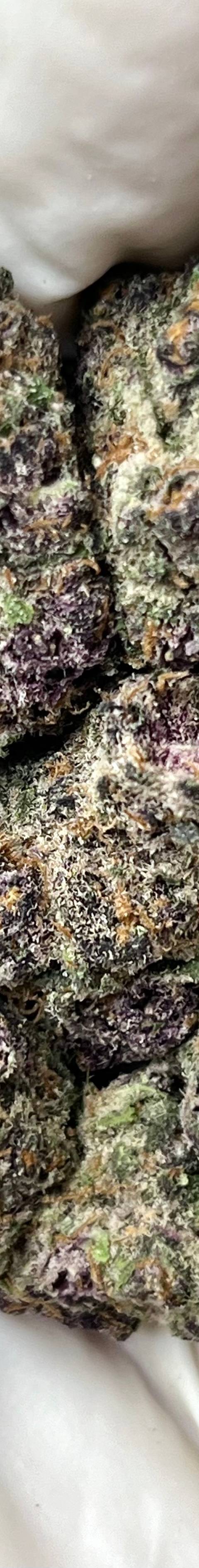 Blockberry (Bigs)