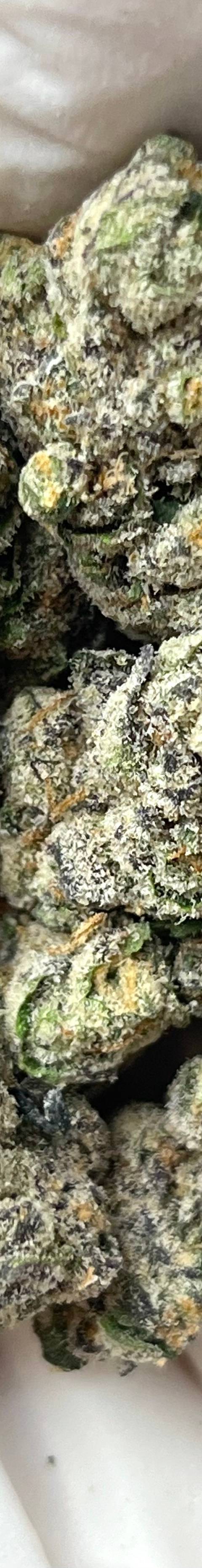 Gas Face (Bigs)