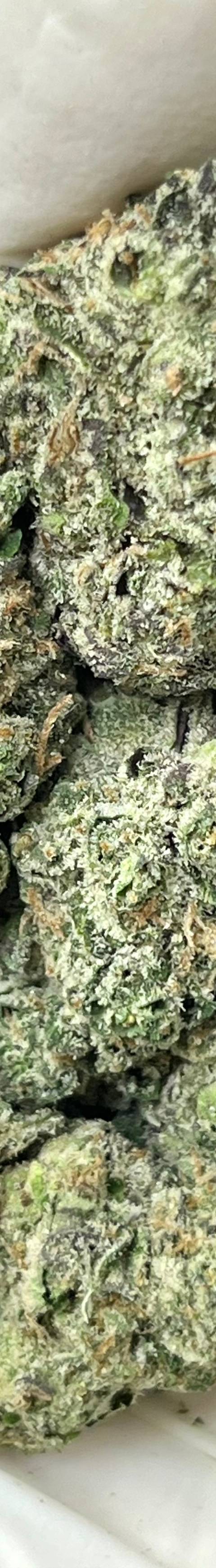 Cherry Garcia (Bigs)