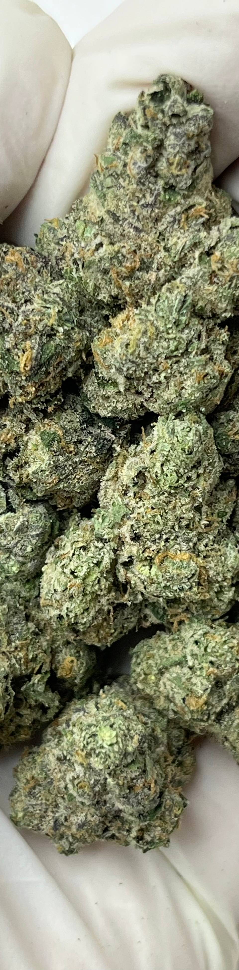 Blue Nerds (Bigs), photo 1 of 2