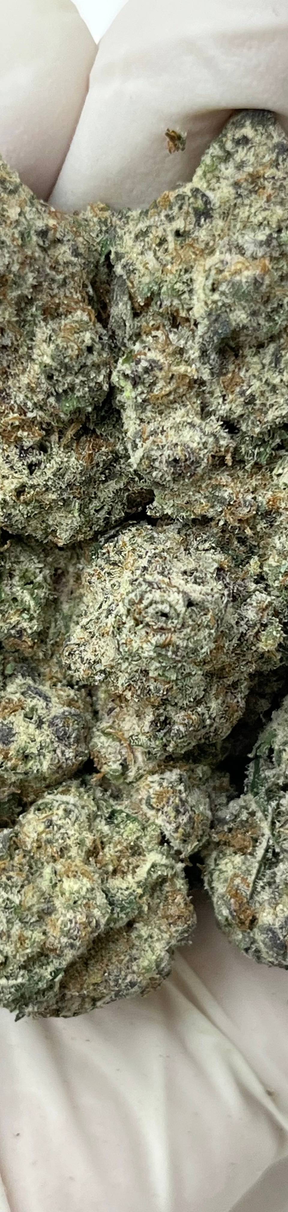 Subzero (Bigs), photo 1 of 2