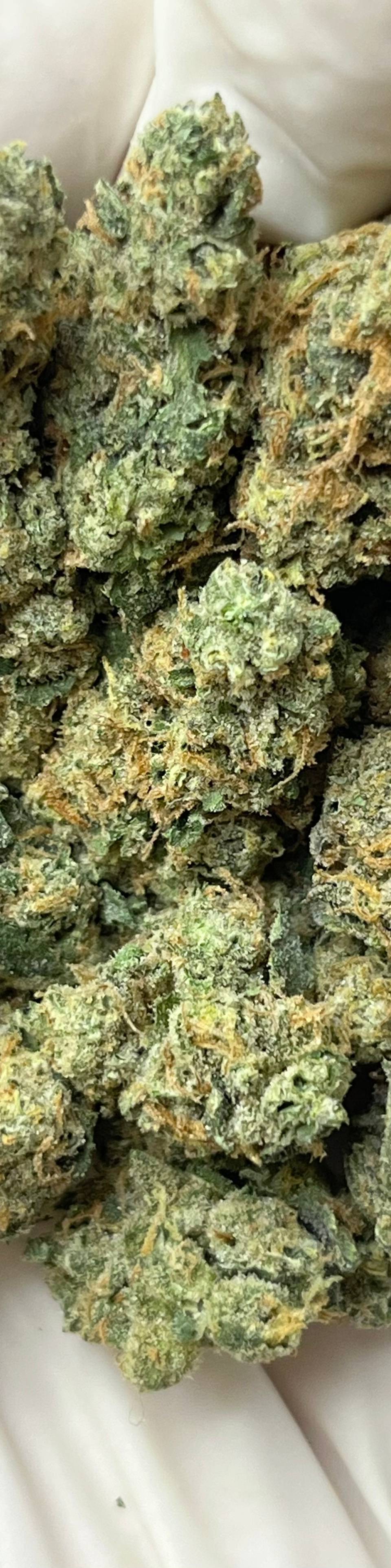 AppleScottie (Bigs), photo 1 of 2