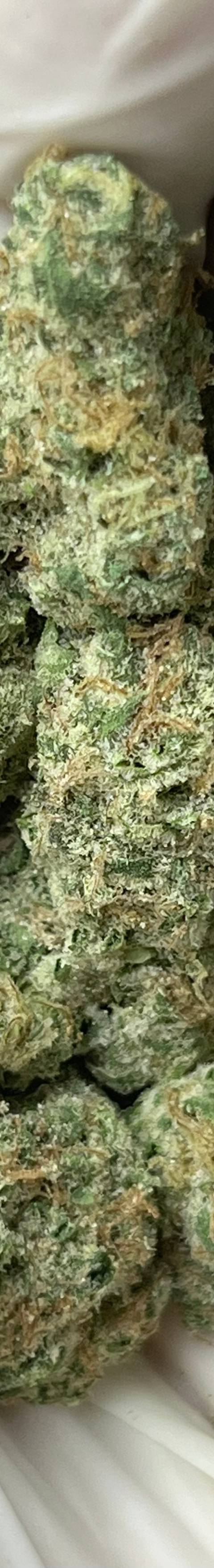 Blockberry (Bigs)