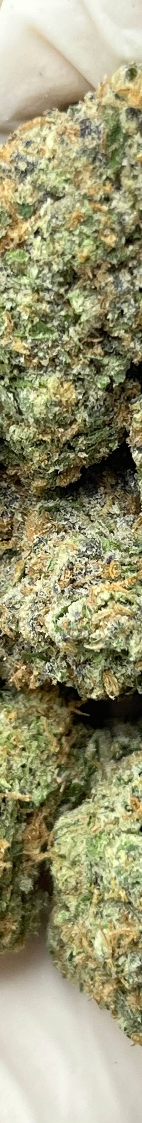 Lemon Tree (Bigs)